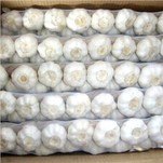 Hvít húð Fersk hvítlauksflétta